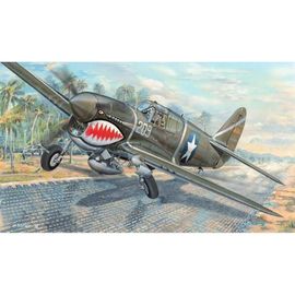 Maquette Avion : P-40f War Hawk-Trumpeter