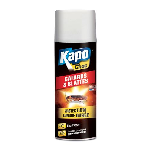 Aérosol Black contre blattes et cafards 400ml