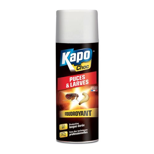 Aérosol black contre puces et larves 400ml