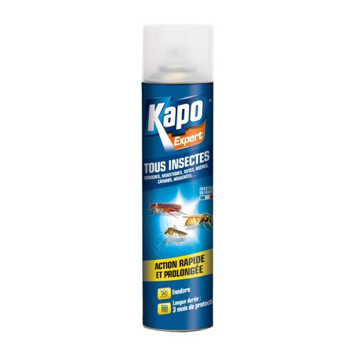 Aérosol tous insectes 300 ml