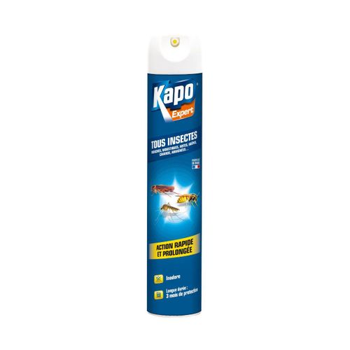 Aérosol tous insectes 500 ml