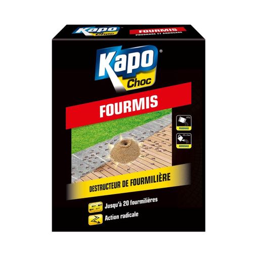 Anti fourmis Kapo choc 250g