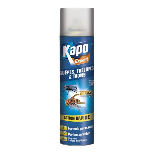 Aerosol anti guêpes et frelons