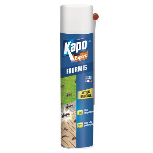 Aerosol contre les fourmis