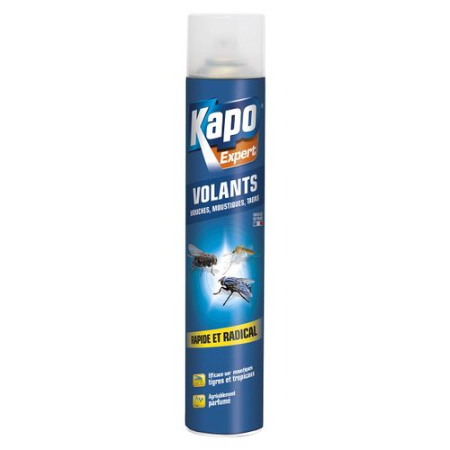 Aérosol tous insectes volants 750ml