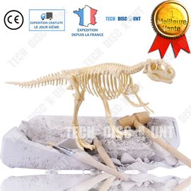 Tyrannosaurus Jouet Dinosaure Enfant Jurassic World Anniversaire Rex Fouille Archéologiques Assemblage Création Puzzle Squelette