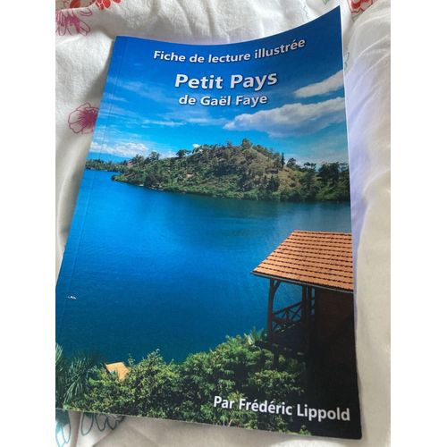 Fiche De Lecture Illustrée Petit Pays
