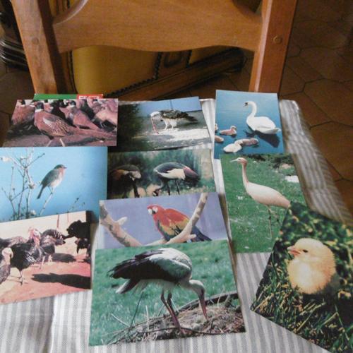 Boite De 50 Bons Points Images Lot De 2 Boites Lito