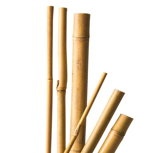 4 Tuteurs Bambou Naturel - H150 Cm Ø12-14 Mm