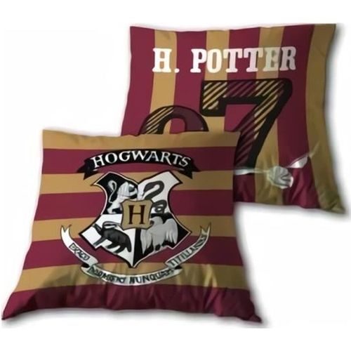 Coussin Harry Potter