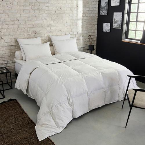 Dunlopillo | Couette Premium Naturelle Tempérée - 30% Duvet - 240 X 260 Cm