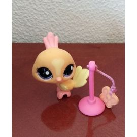 Petshop Oiseau Et Accessoire