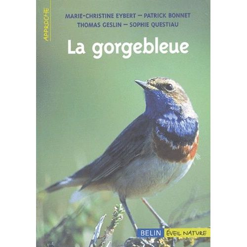 La Gorgebleue À Miroir