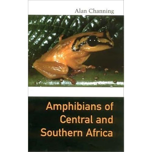 Amphibians Of Central And Southern Africa