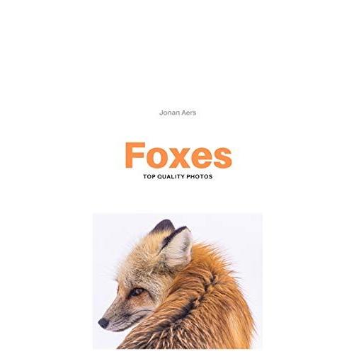 Foxes: Top Quality Photos