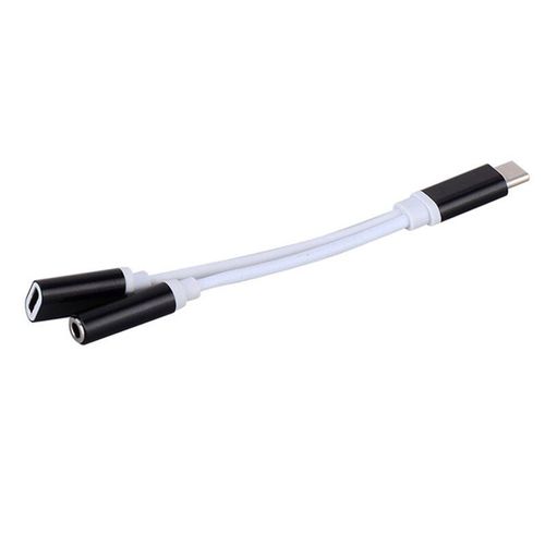 Adaptateur Usb 2 en 1 pour Samsung S9, Micro câble Usb, Type C à Jack Audio 3.5mm