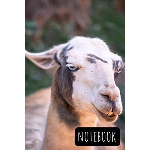 Notebook: Funny Animal Notebook, Large 6 X 9 Inch, 110 Lined Pages