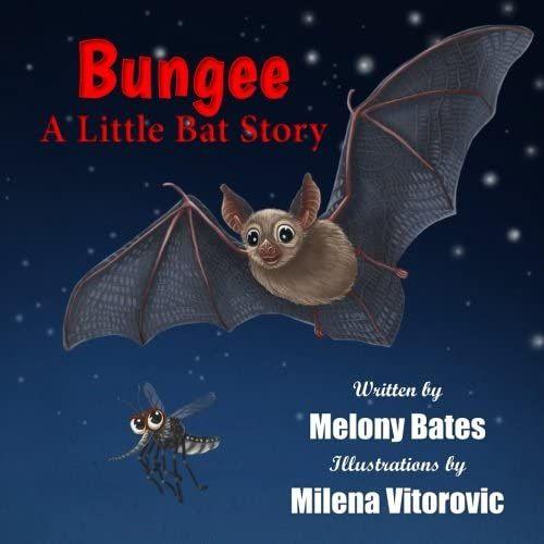 Bungee, A Little Bat Story