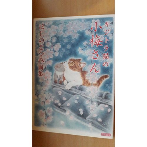 Hoshino Natsumi Artbook : Kijitora Neko No Koyuki San - Plum Illustrations