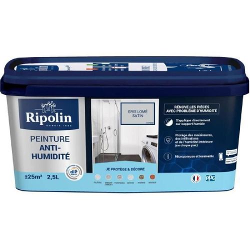 Peinture étanchéité anti-humidité satin gris lome 2.5L Ripolin
