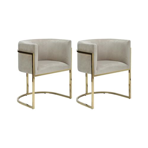 Lot De 2 Chaises Avec Accoudoirs - Velours Et Acier Inoxydable - Beige Et Doré - Peria