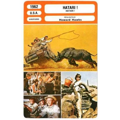 Fiche Monsieur Cinema Hatari !