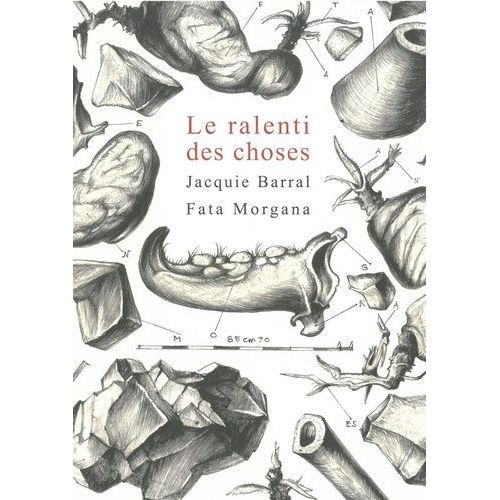 Le Ralenti Des Choses