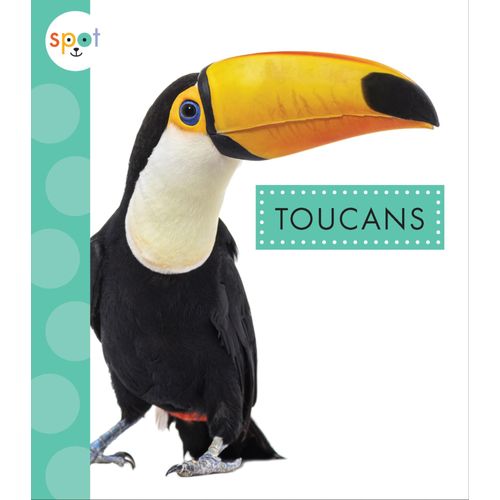 Toucans