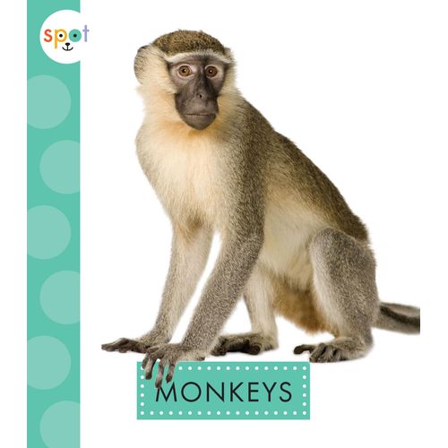 Monkeys