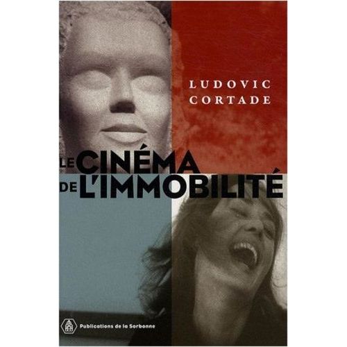 Le Cinéma De L'immobilité - Style, Politique, Réception