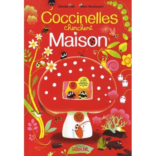 Coccinelles Cherchent Maison !