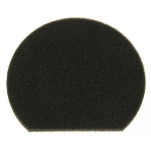 Filtre mousse 12022750 pour Aspirateur BOSCH , CLEANN'N
