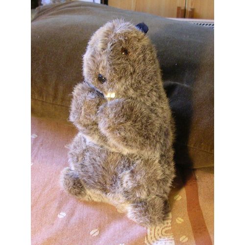 Peluche Marmotte Belle Fourrure