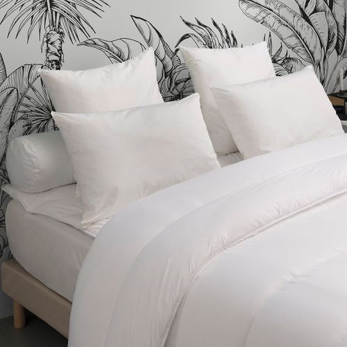 Dunlopillo | Oreiller Ultra Gonflant Moelleux - 60 X 60 Cm