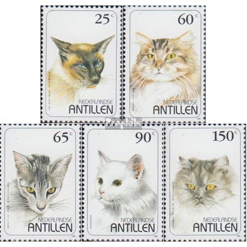 Néerlandais Antilles 846-850 (Complète Edition) Neuf Avec Gomme Originale 1995 Chats