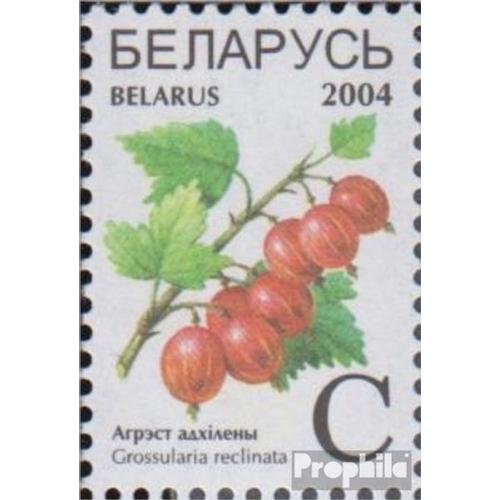 Weißrussland 526iii Sans Mikroschrift Neuf Avec Gomme Originale 2004 Fruits