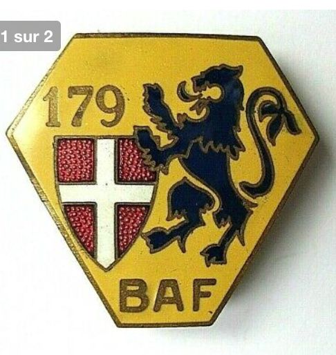 Insigne Original Jaune Du 179° Bataillon Alpin De Forteresse