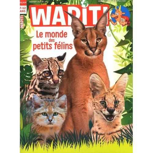 Wapiti 394 Le Monde Des Petits Felins