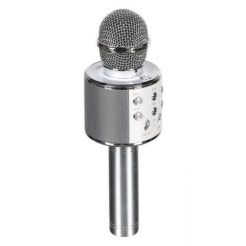 Micro Enceinte Karaoké 3 W