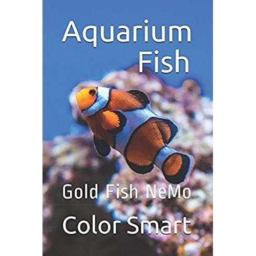 Aquarium Fish: Gold Fish Nemo