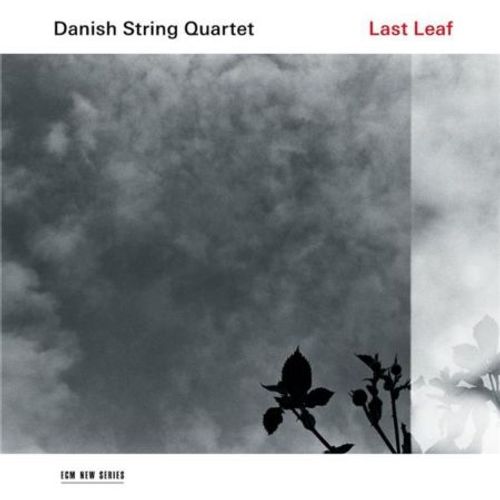 Last Leaf - Vinyle 33 Tours