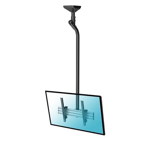 Support plafond inclinable pour 1 écran TV 43''-75'' - Hauteur 175cm