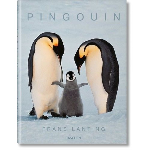Pingouin