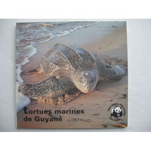 Tortues Marines De Guyane