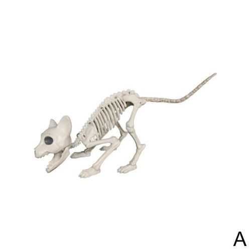 Décoration De Squelette D'halloween, Chats En Forme De Squelette, Modèle De Crâne, Animal Effrayant, Os Pour Vampire, Tour De Fête H4o0