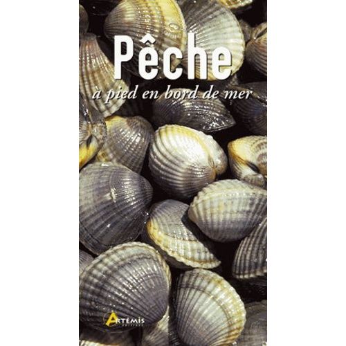 Pêche À Pied En Bord De Mer
