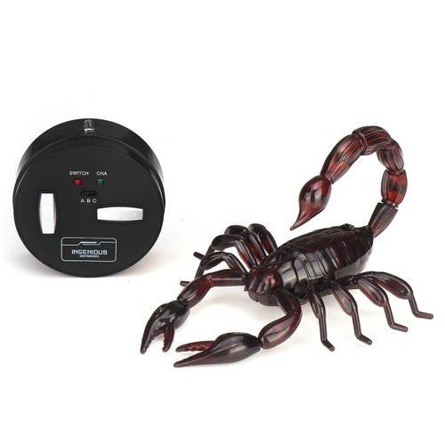 Télécommande De Scorpion Électrique Rc, Modèle D'animal Intelligent, Radio Robotique De Scorpion, Jouets De Farces Pour Enfants, Cadeaux