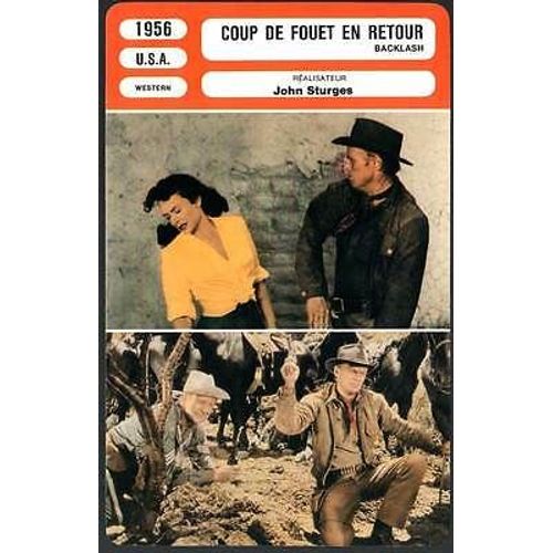 Fiche Monsieur Cinema Coup De Fouet En Retour