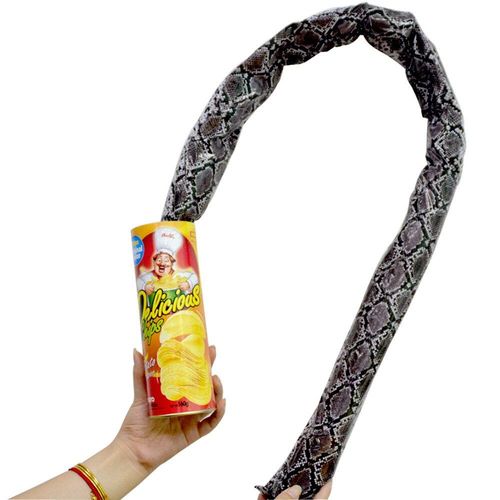Jouets Amusants Pour Halloween, Pommes De Terre Magiques, Canettes De Serpent, Tours De Serpent, Blague Effrayante, Frites