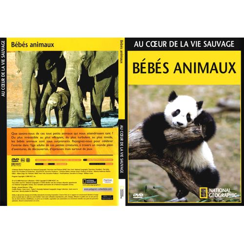 Bébés Animaux : Au Coeur De La Vie Sauvage - Dvd National Geographic 2008 - Polygram Collections